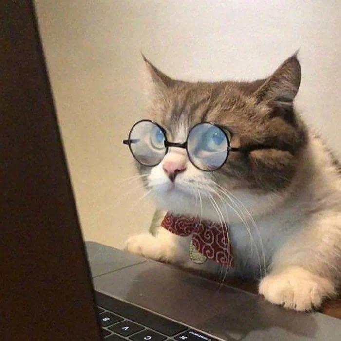 猛踹瘸子那条好🦵