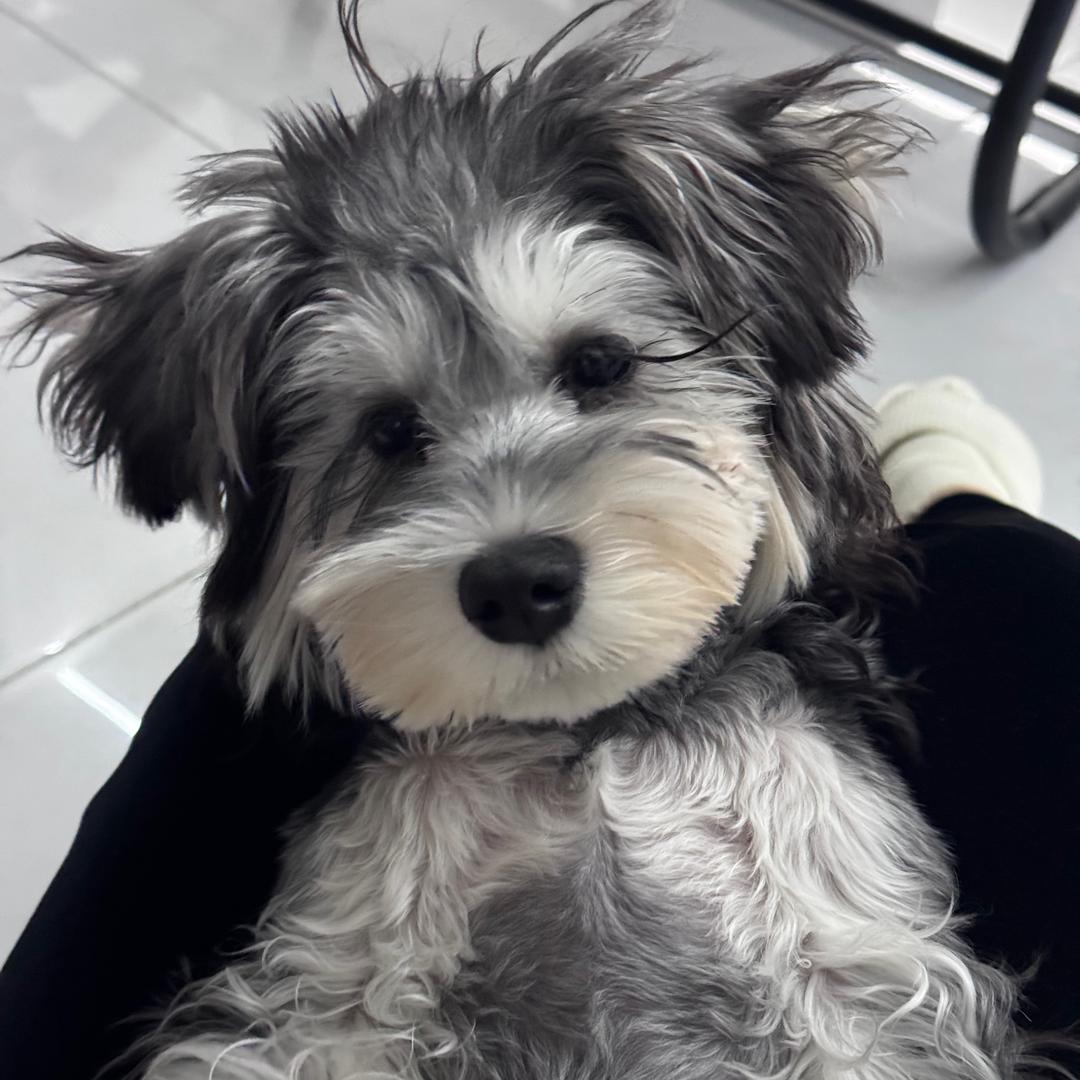 六一不是儿童节🐶