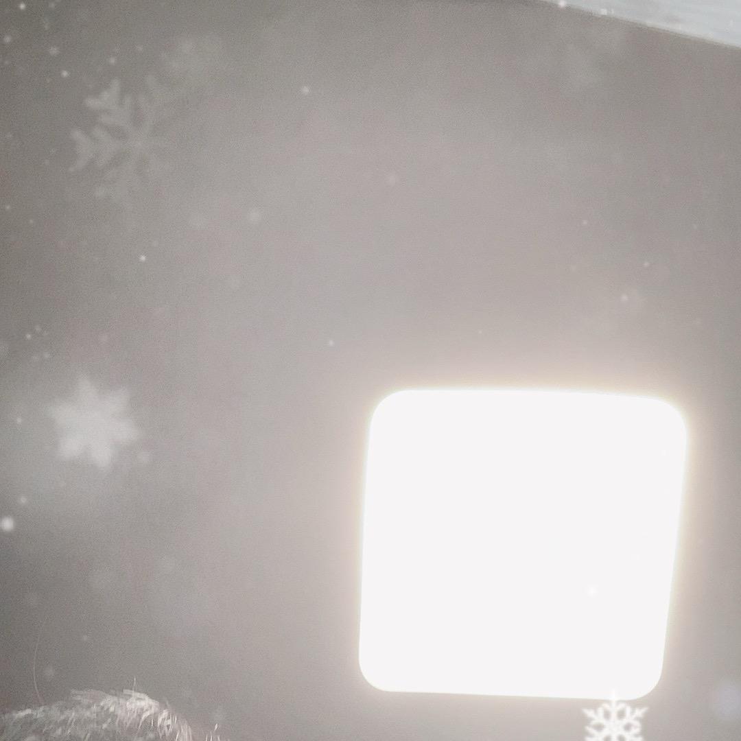 西红柿鸡蛋盖饭