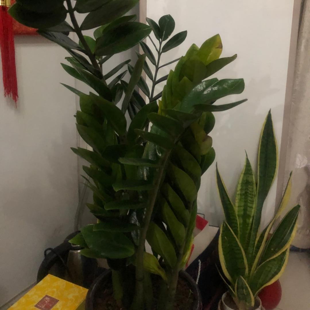 财能改命