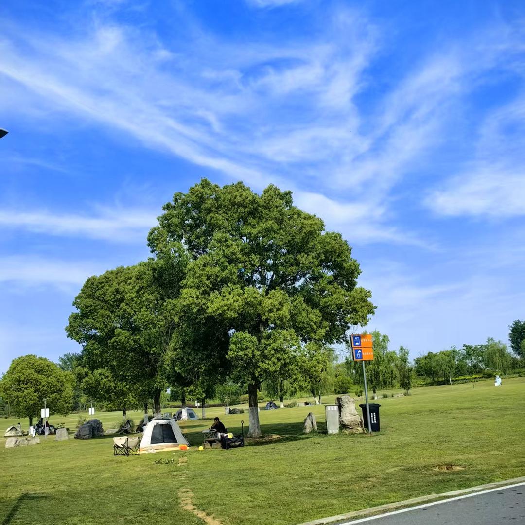 安徽享趣旅行俱乐部领队