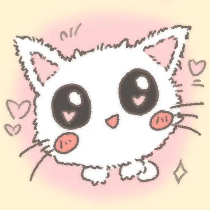 养只猫叫kk