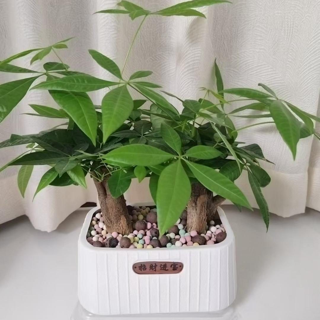 优优真皮女鞋