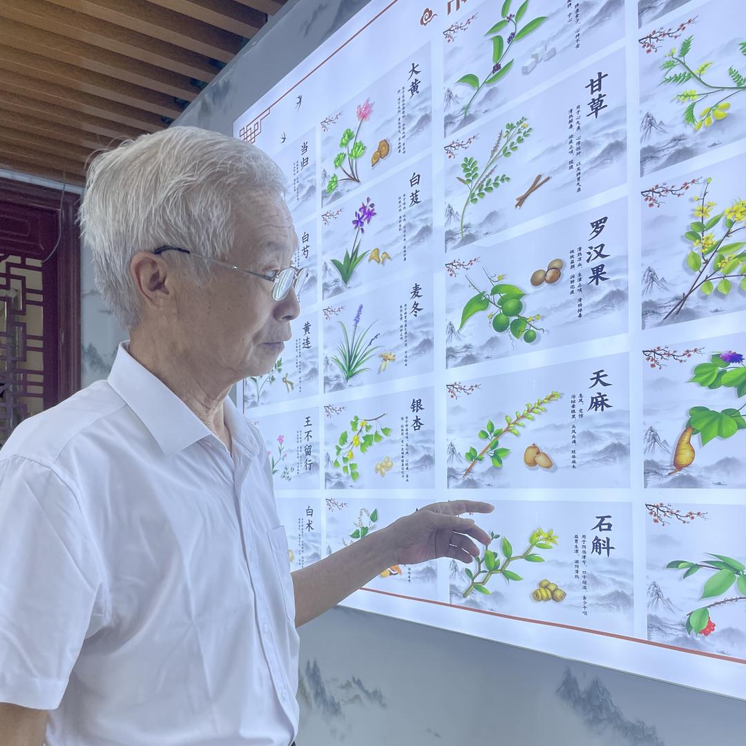 云栖百草（添航妙）