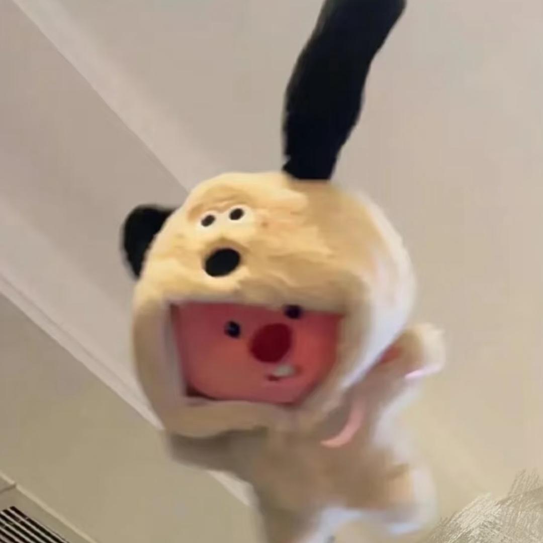 睡个好觉.