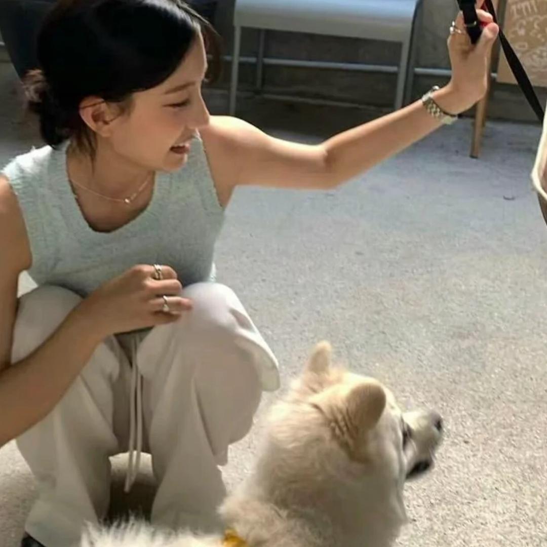 Cc不爱吃香菜.