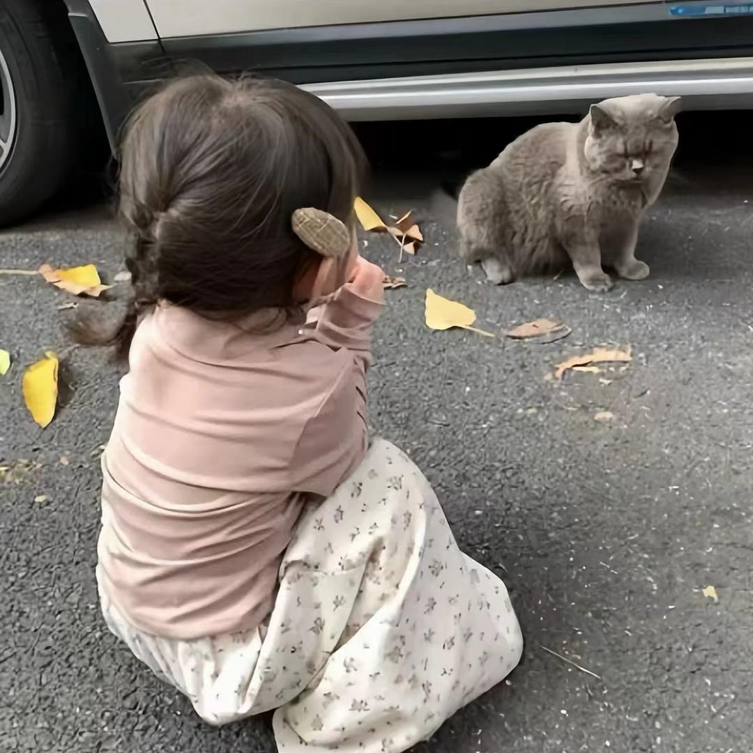 什么烔