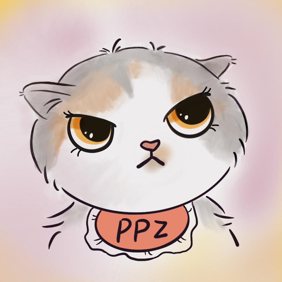 皮皮猪的小短腿
