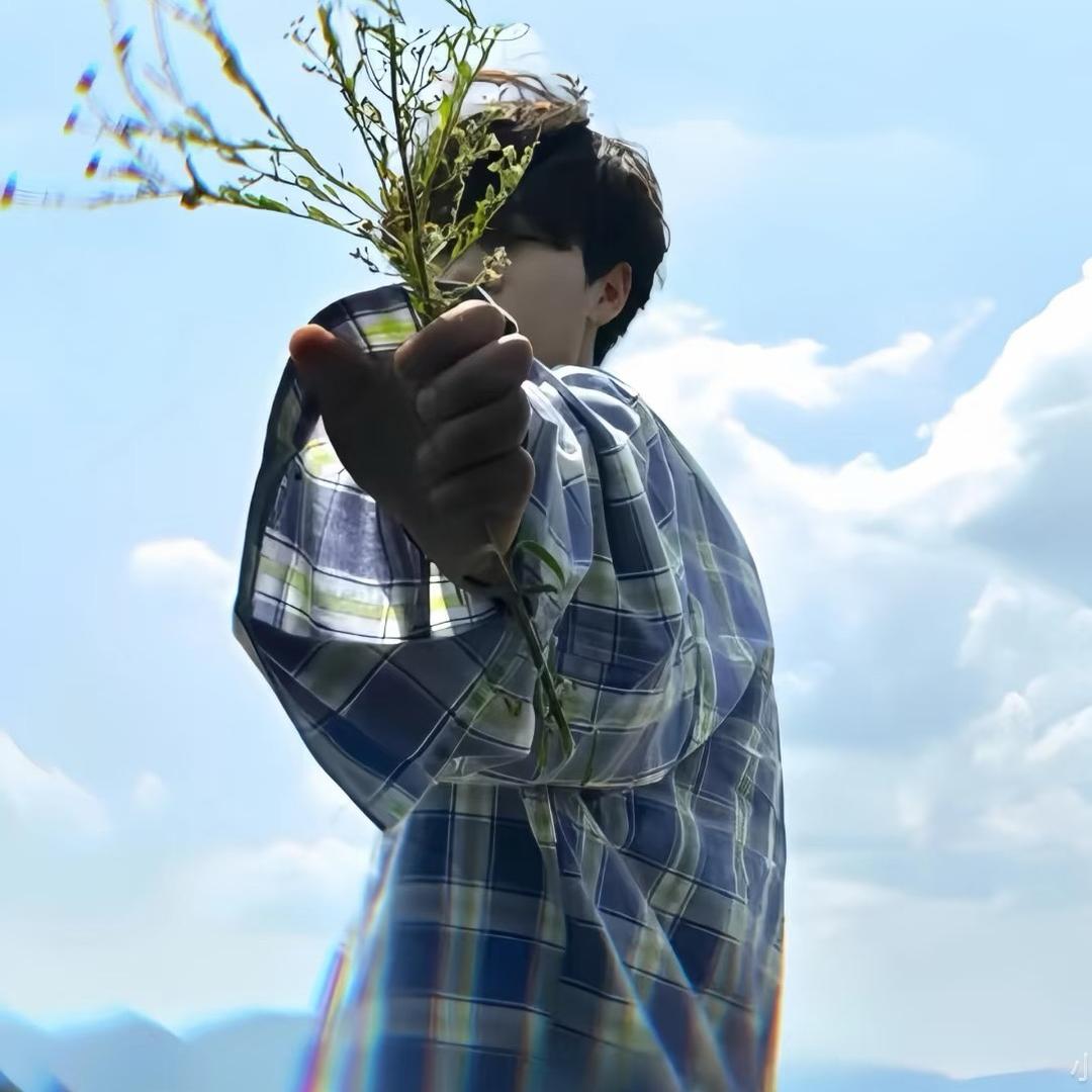 Yo-锌杨（不落泪版）