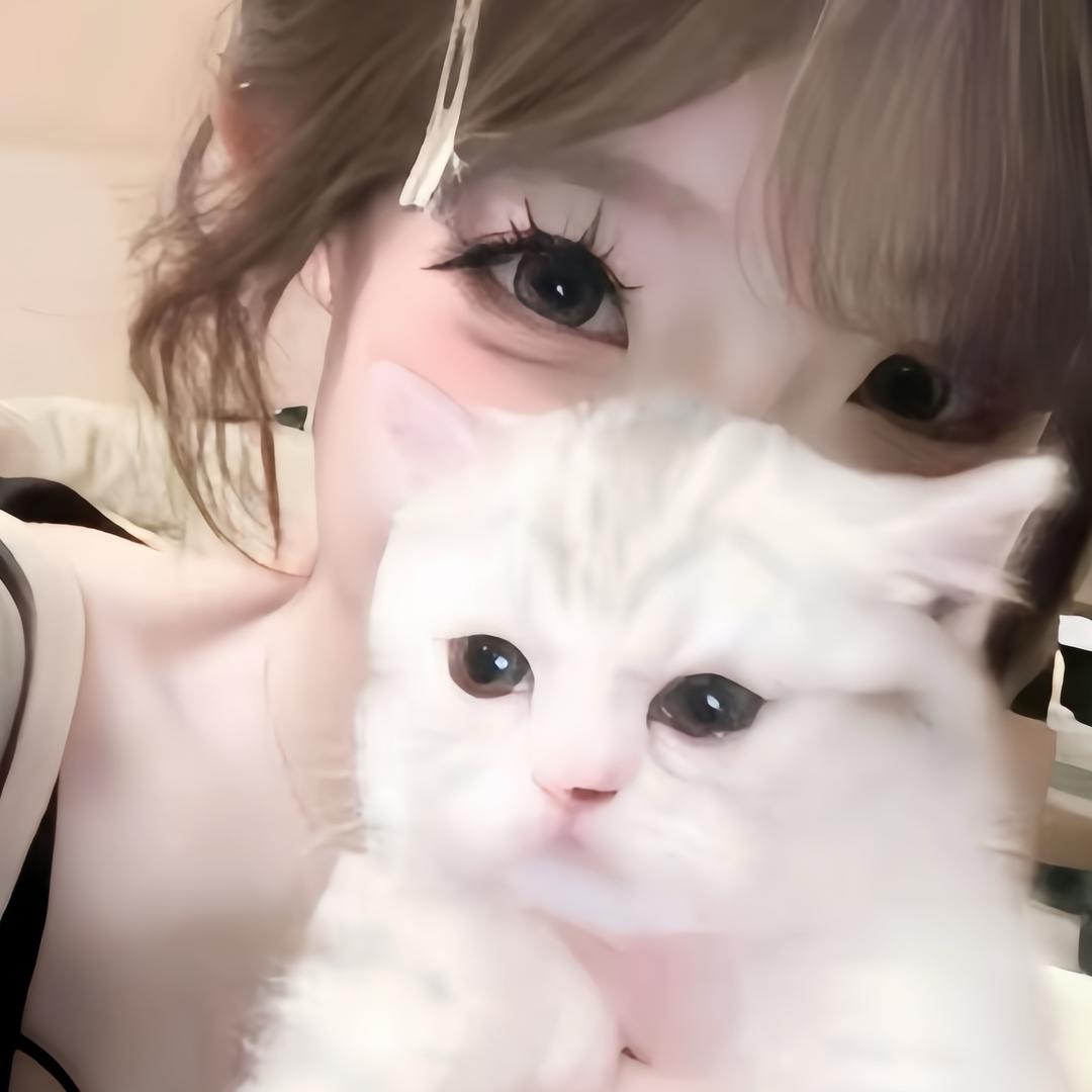 发呆呆鱼