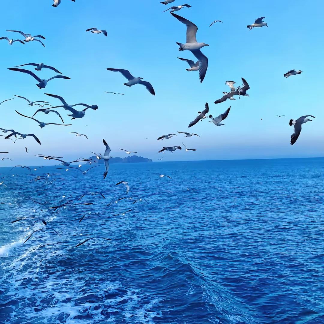 深海蔚蓝