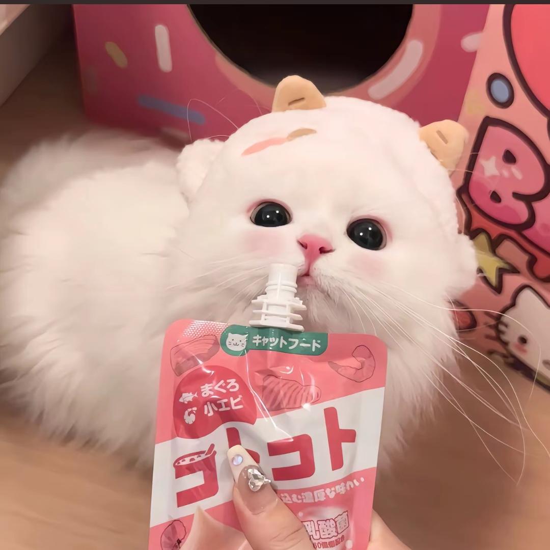 豹纹小牛.