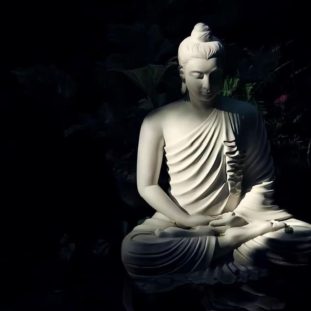 窦中浩