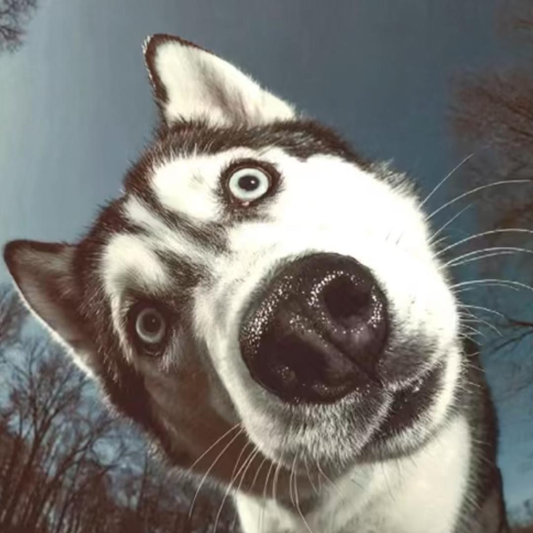 商业招商、转铺 🐟