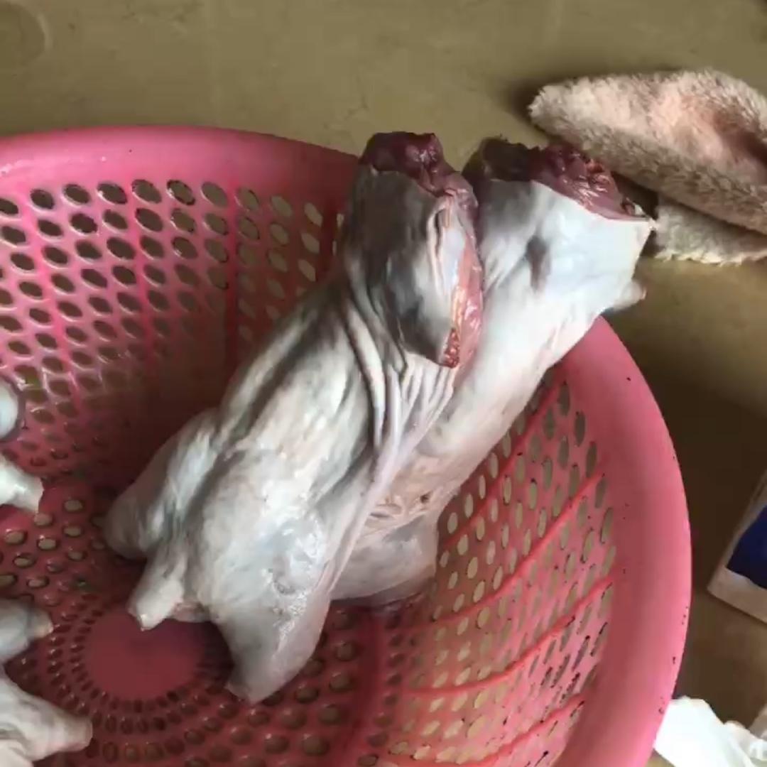 八方来财