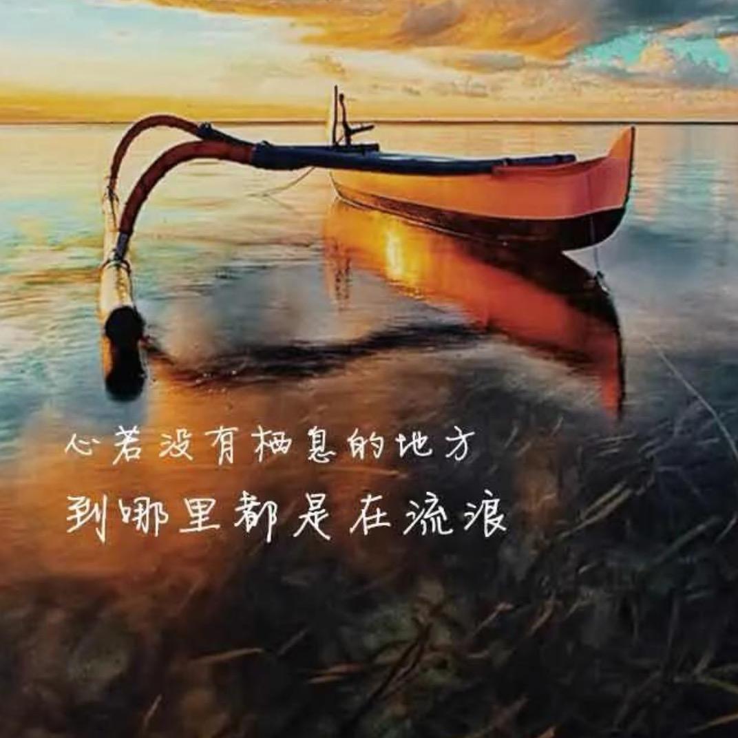 凯哥在流浪