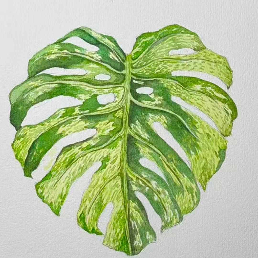 西红柿炒鸡蛋