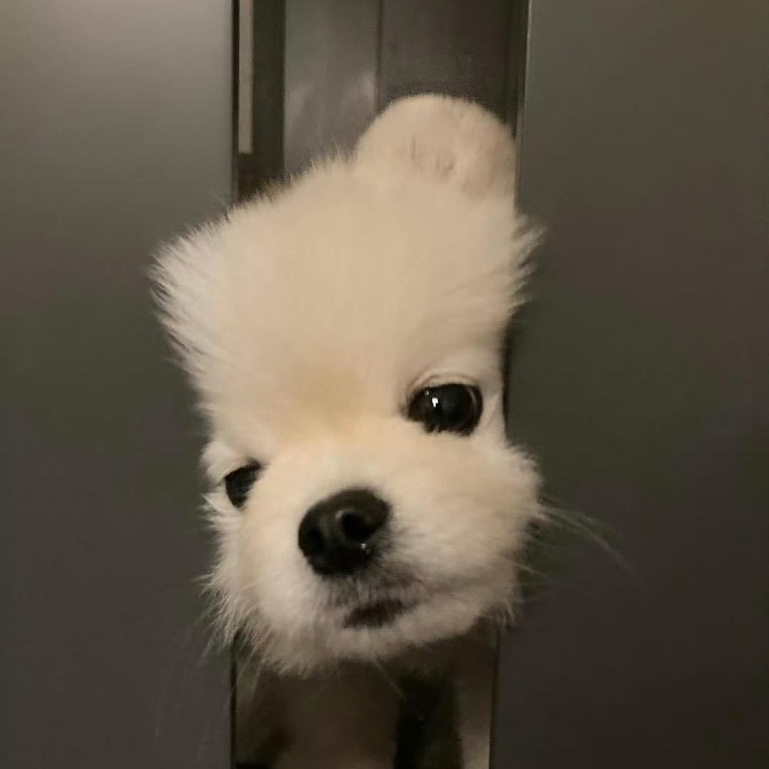 为什么会有早八