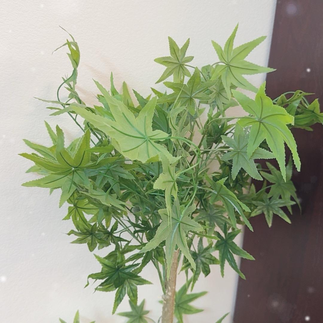 永怛