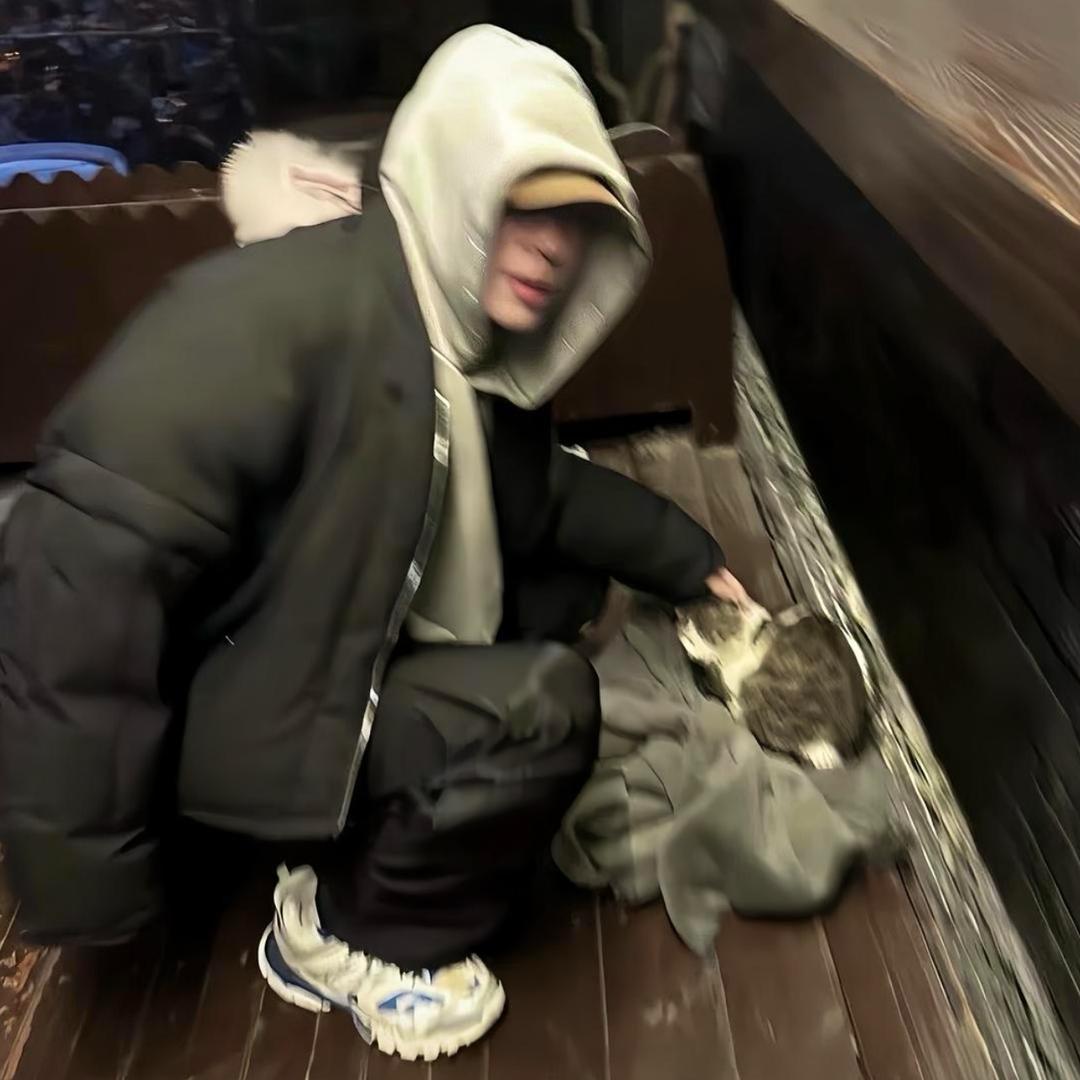 ㅤㅤㅤㅤㅤㅤㅤㅤ ㅤㅤㅤㅤㅤㅤㅤㅤ