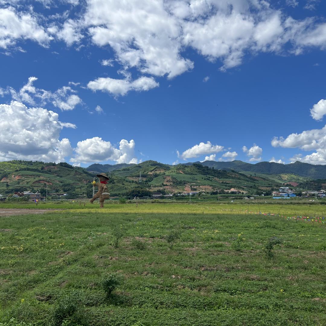 美美百姓普洱茶