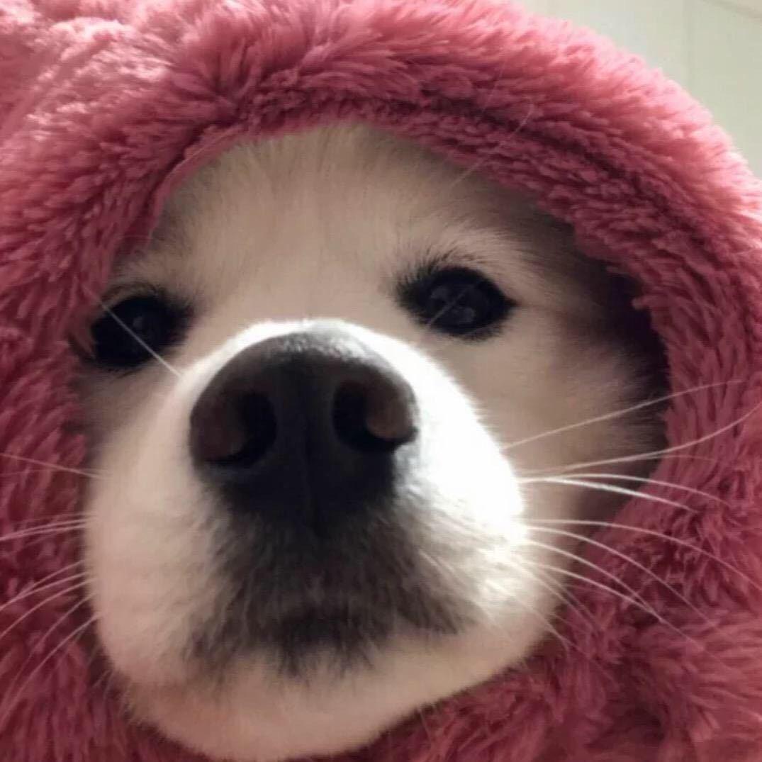 zzzz-