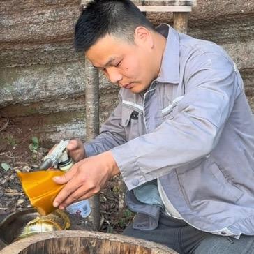 小彭土养中蜂