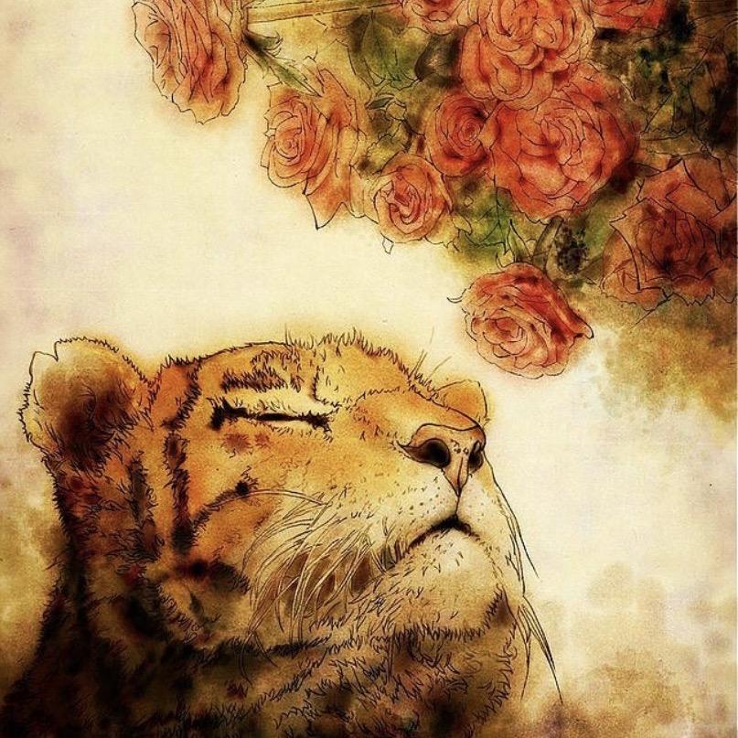🌈重拾、记忆