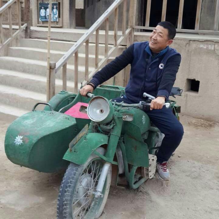 丹凤逗你玩