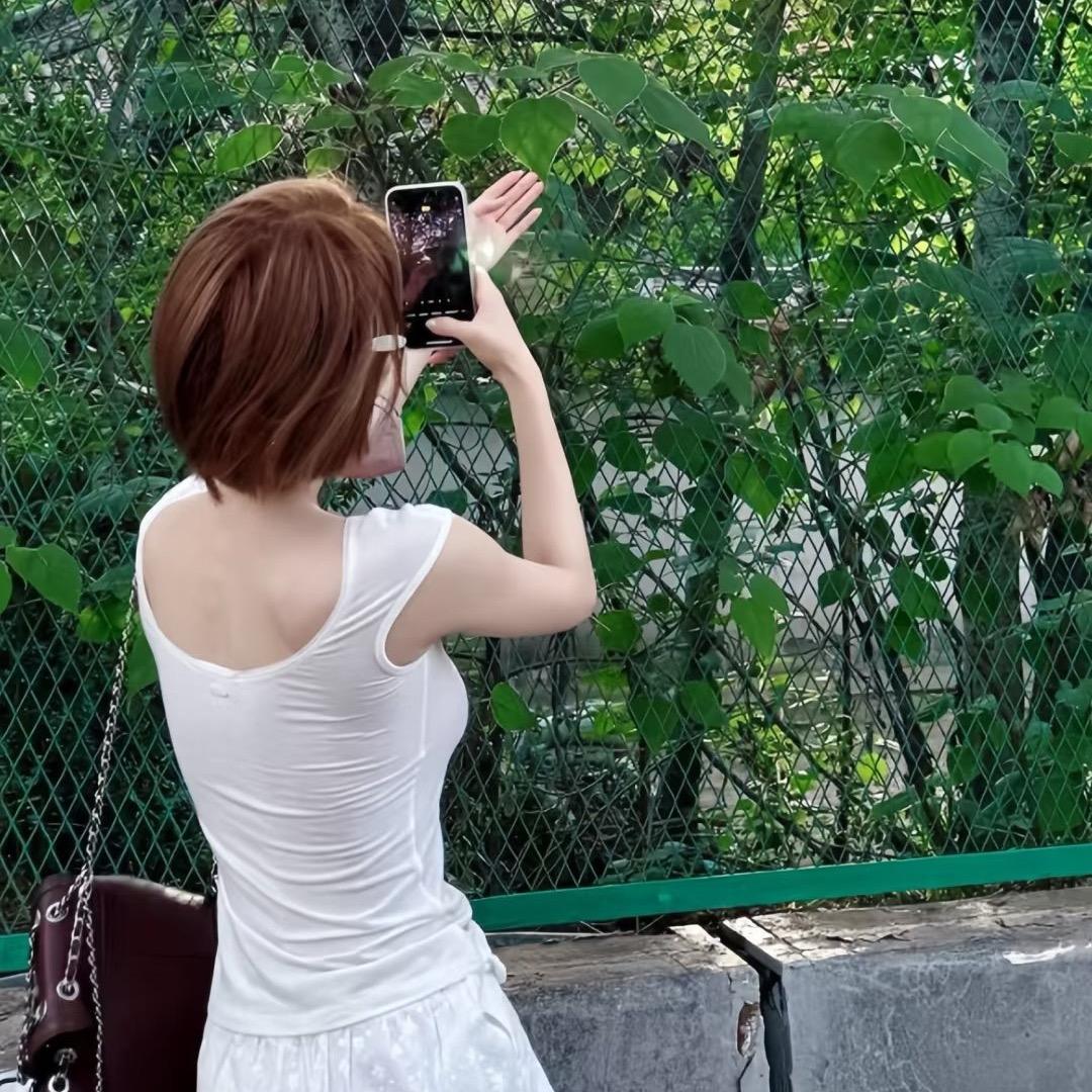 美式、🦋