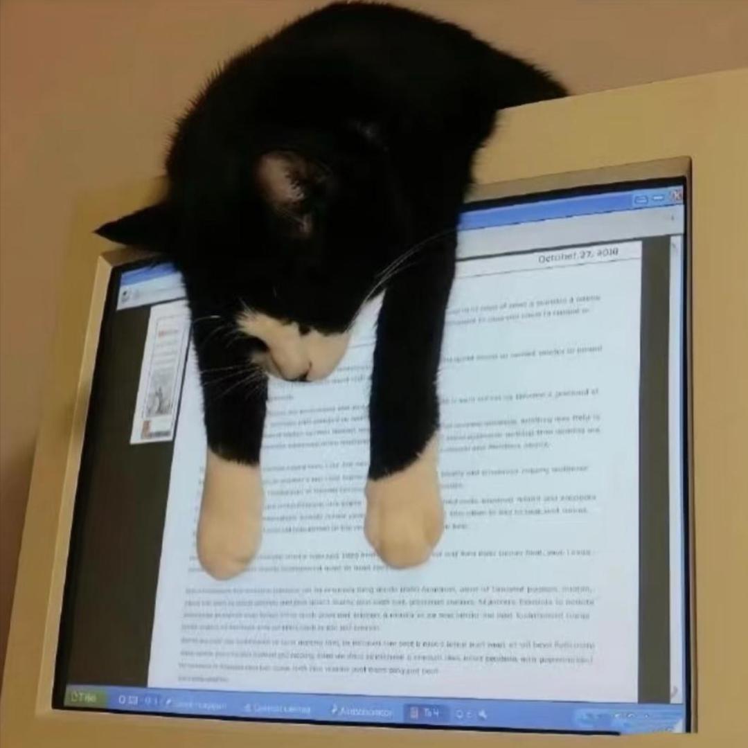 小猪大面包