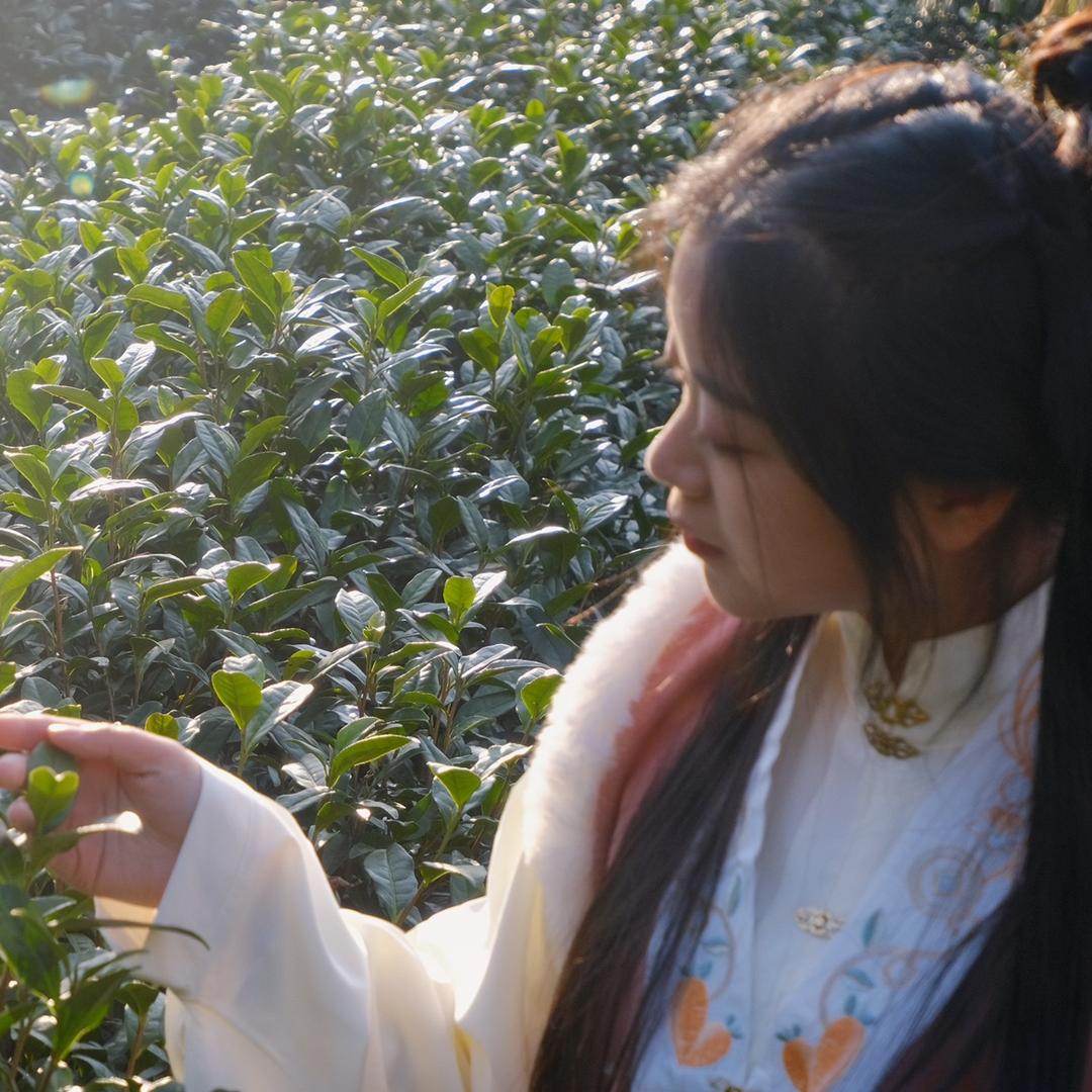 安吉县永吉山茶场