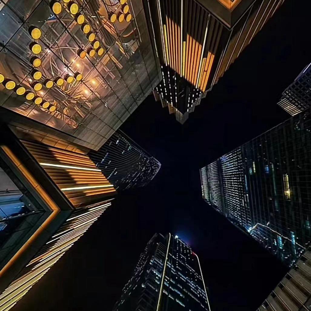 🐟飞鸟与鱼🐟