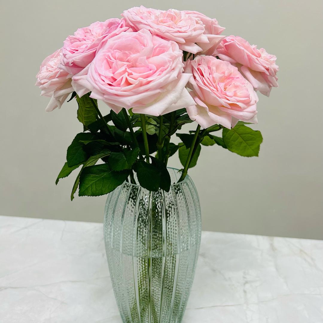 陌上开花
