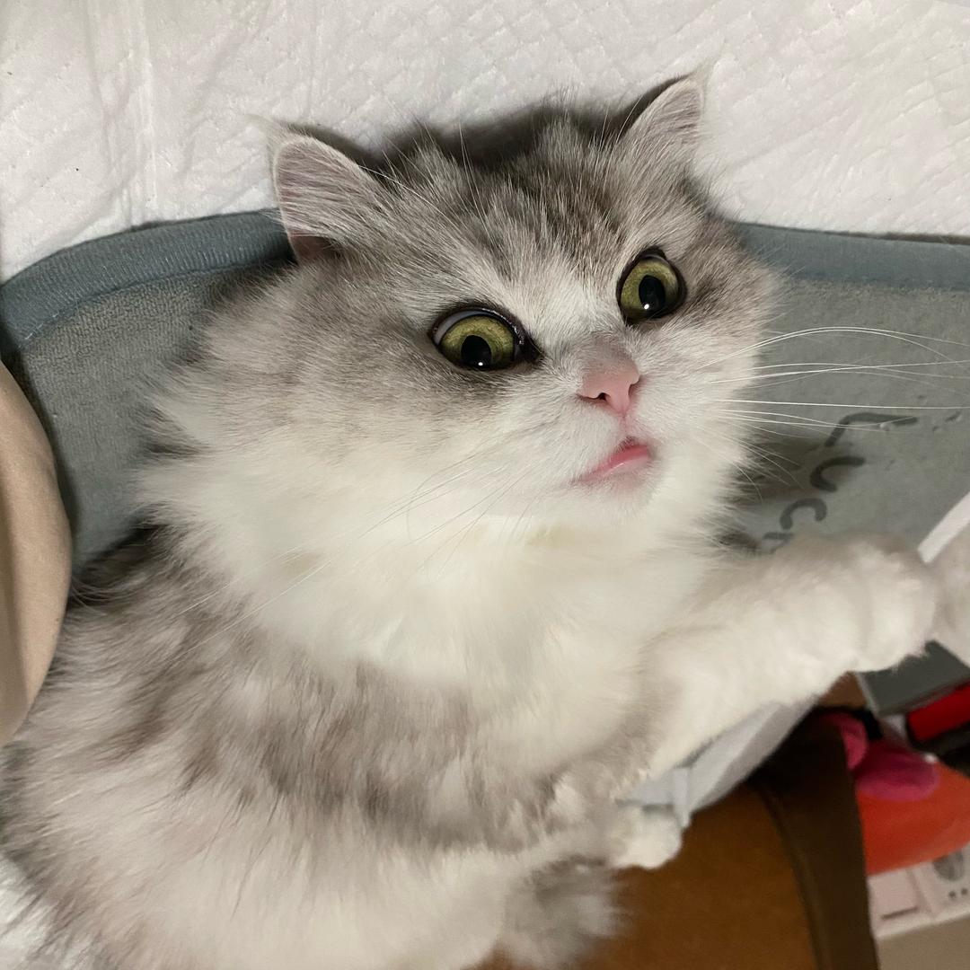 我很想记得可是我记不得