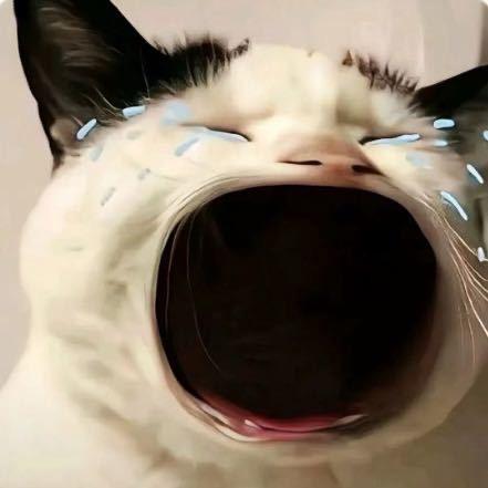 成都乐小悠网络科技