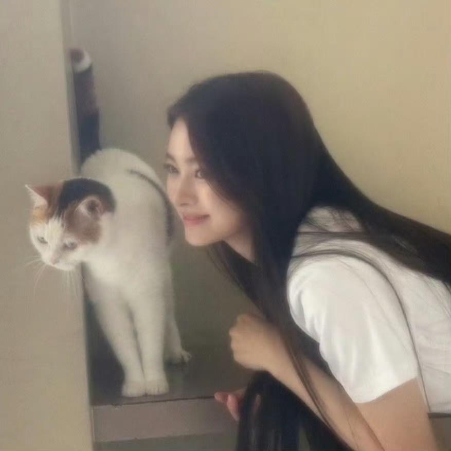 七口歪歪