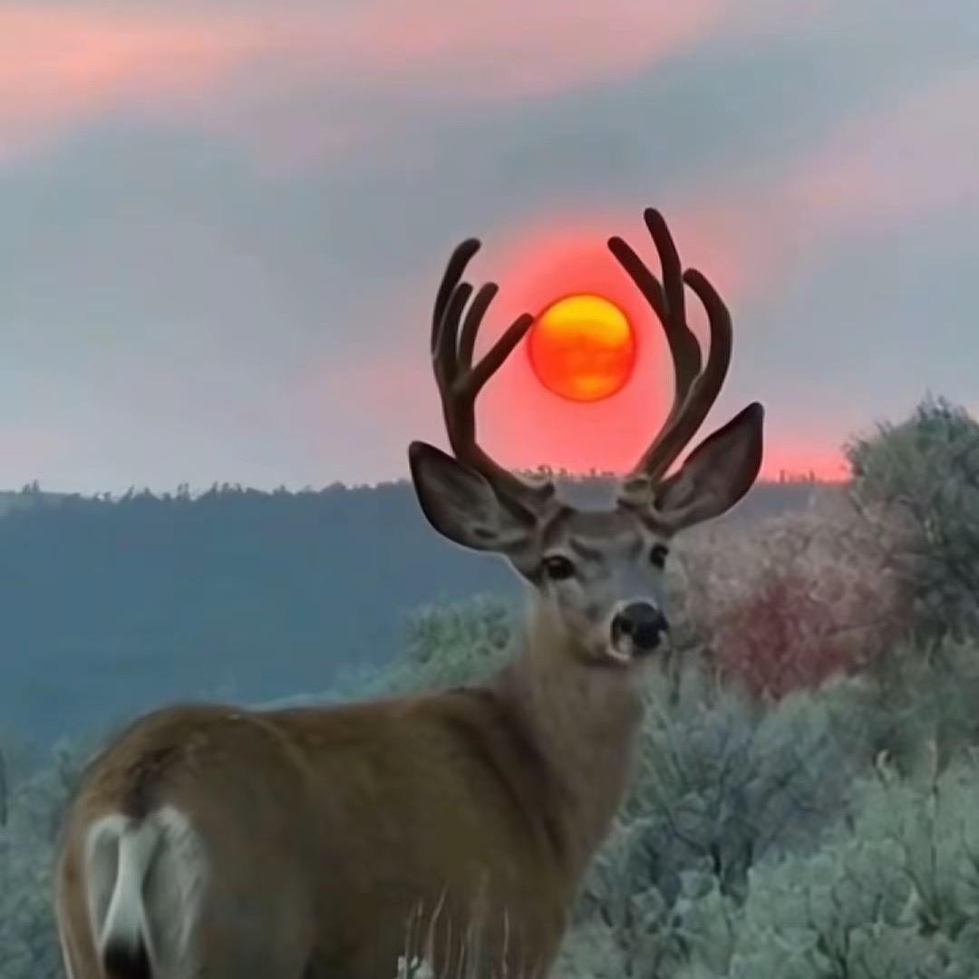 人和卫彬美发店收长头发（生活号）