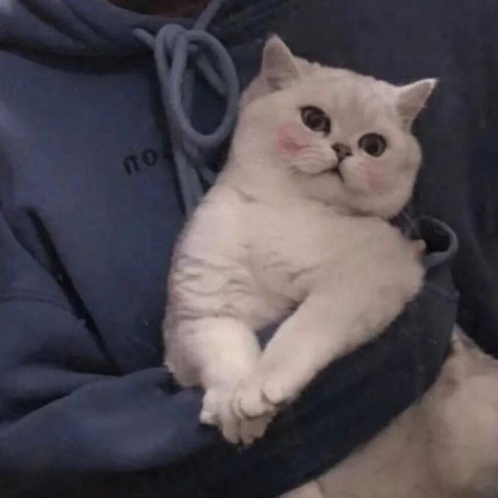 𝓙𝓪𝔂