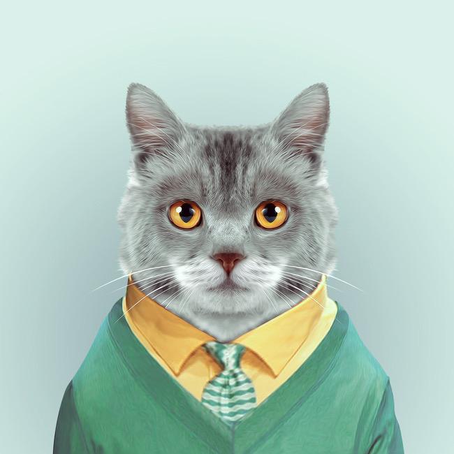 🌈十公分的距离