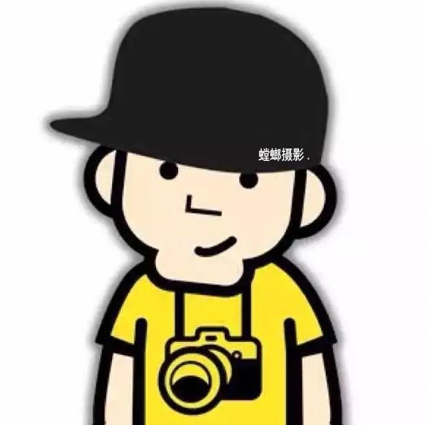 摄影大螳螂