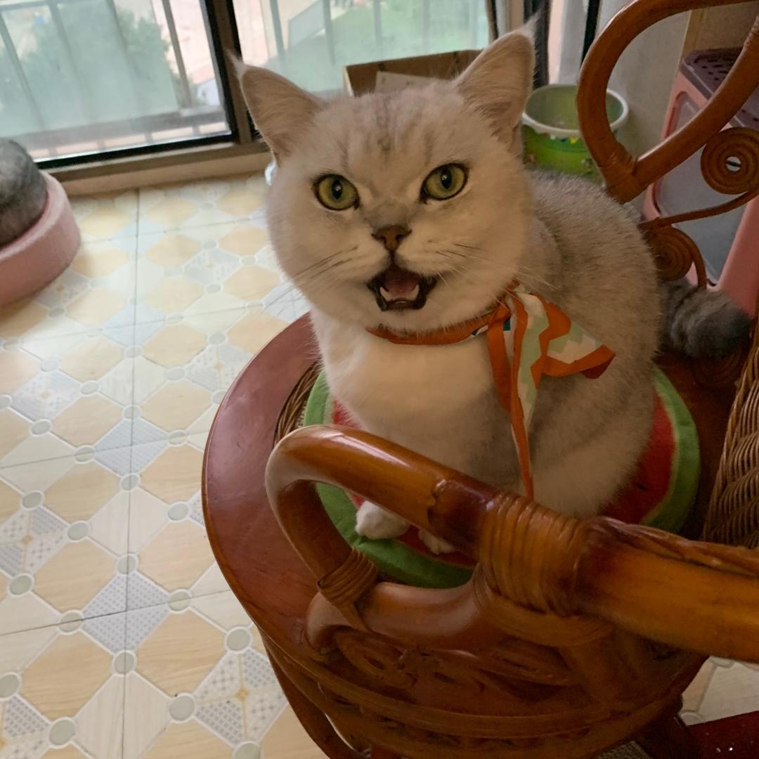 漂泊他乡不孤独