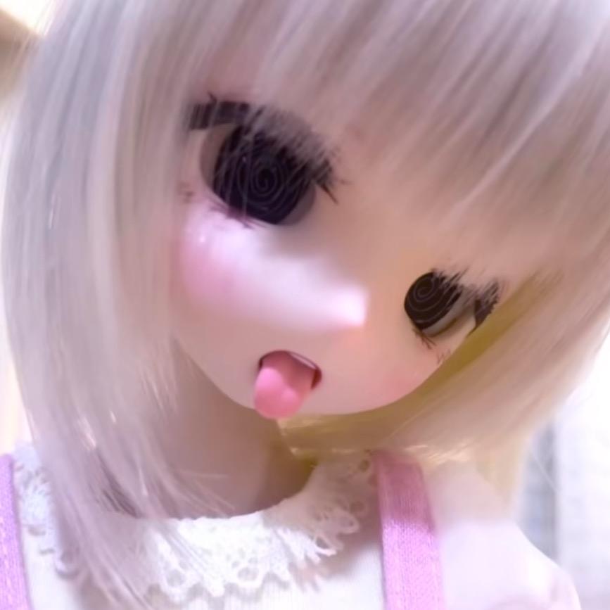 考拉可可饼