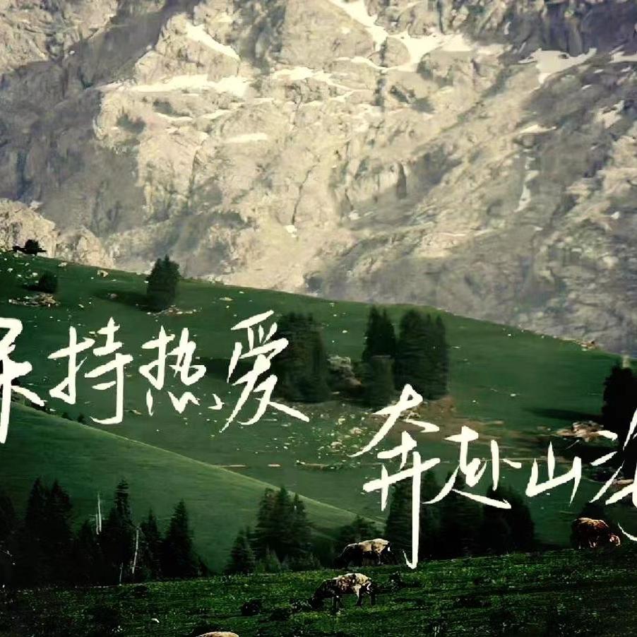 露露信息咨询工作室