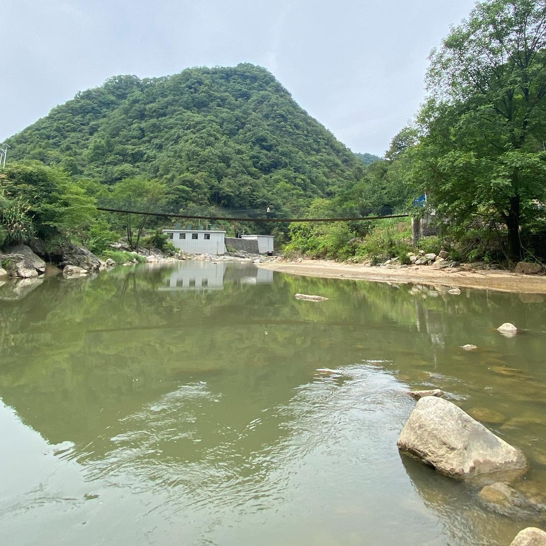 飞飞飞