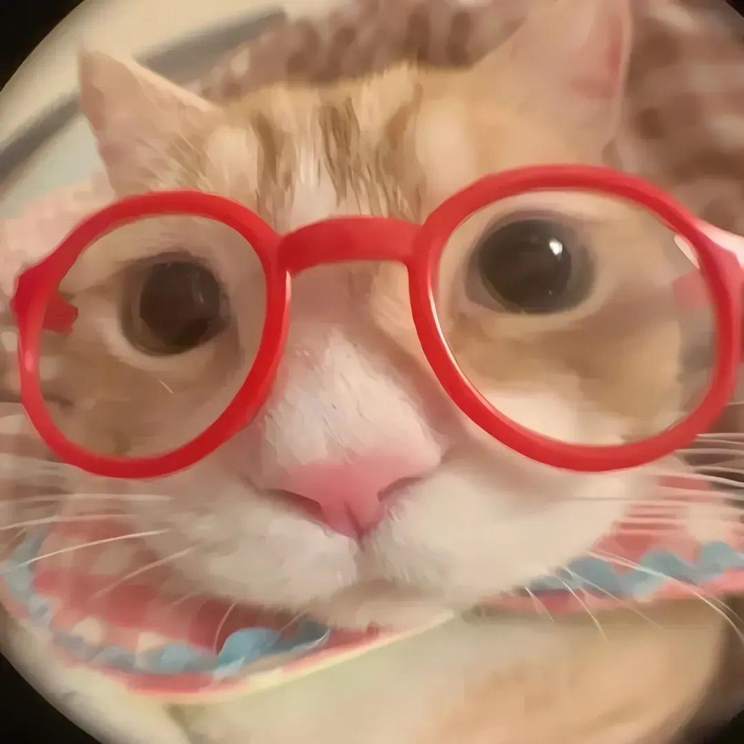 番贝贝