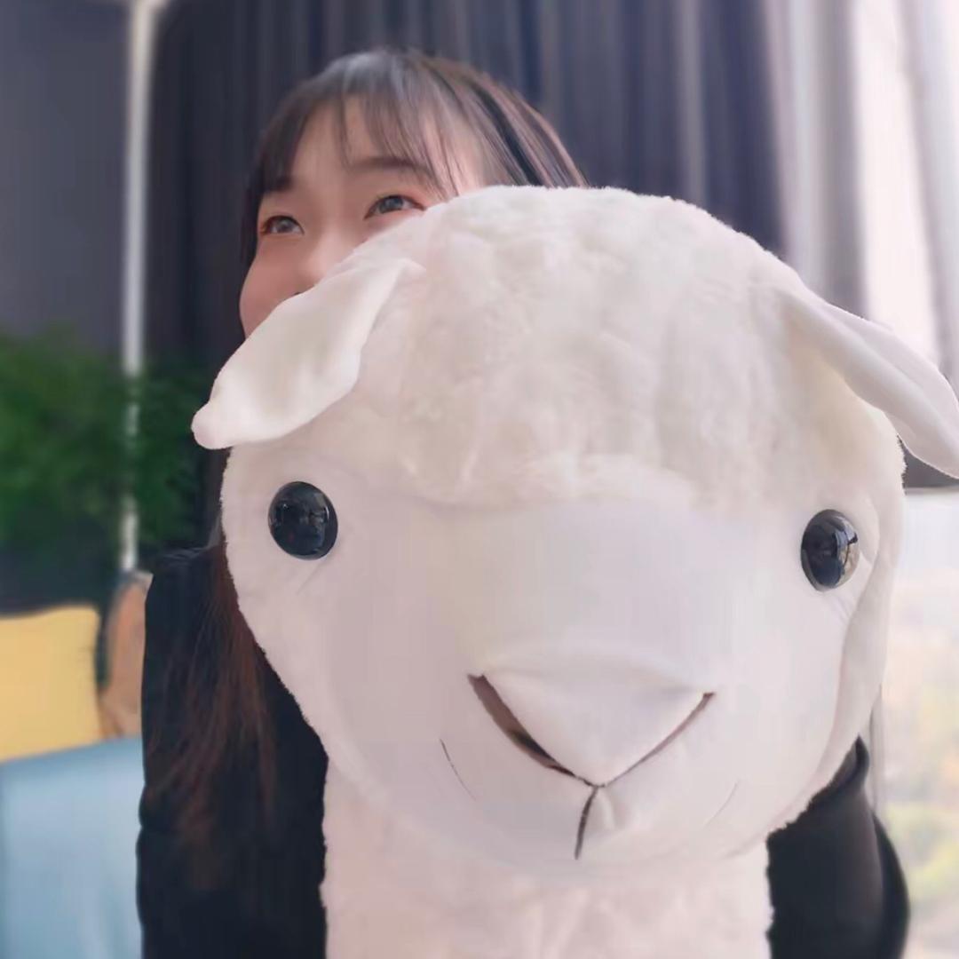 圆圆好物