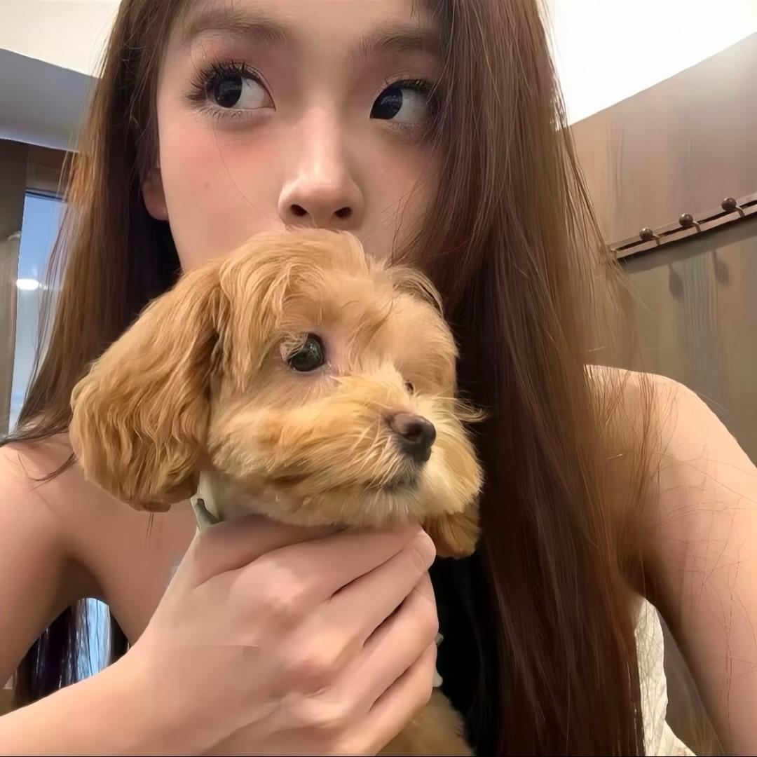 期待的七