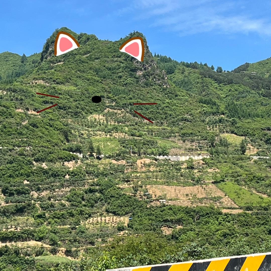 爱看哈利波特的麻瓜