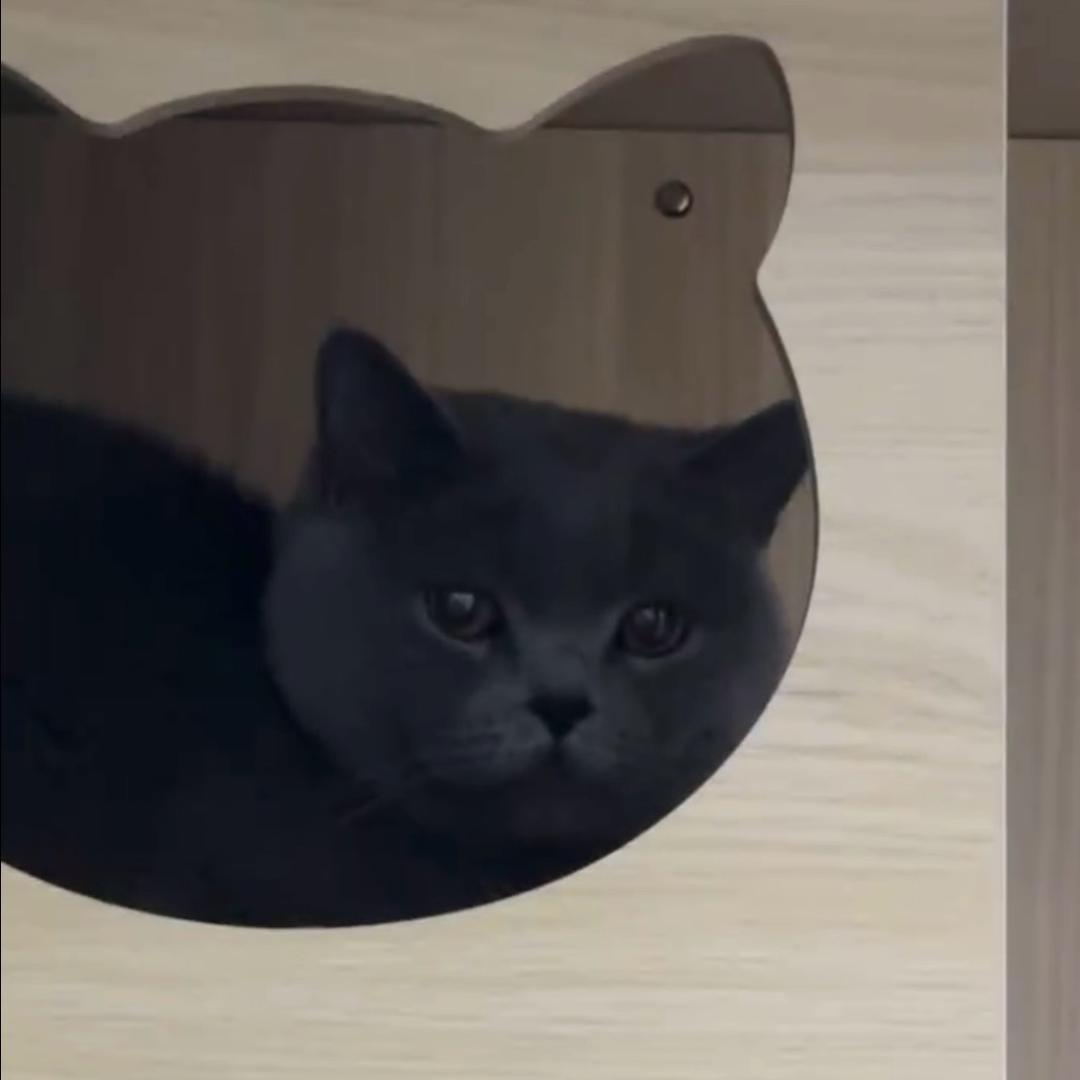 年货淘